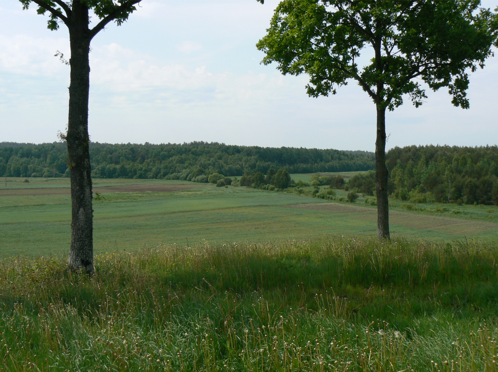 Widok z Góry Predsediatiela