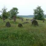 Kirkut dziewieniski