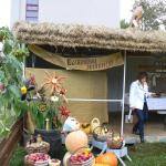 Butrymańskie starostwo na dożynkach w Solecznikach